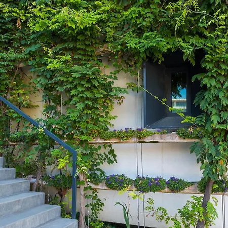Apartamento Bamboo Garden 